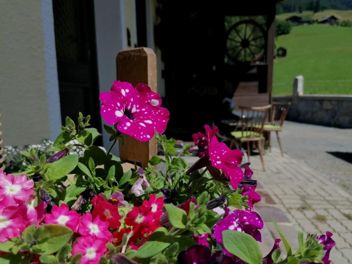 Ferienwohnung Oberkofler Mittersill Exteriér fotografie